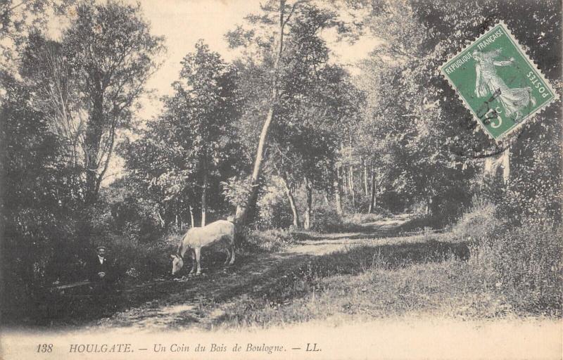Carte postale ancienne Houlgate - Un Coin Du Bois De Boulogne à Houlgate