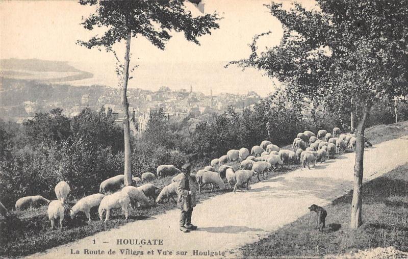 Carte postale ancienne Houlgate - La Route De Villers Et Vue Sur Houlgate - Berger à Houlgate