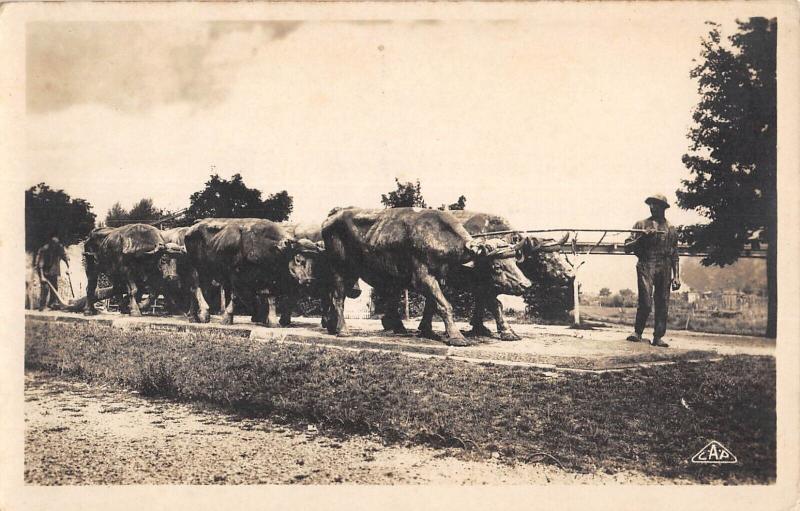 Carte postale ancienne Charleville -  Le Defrichement