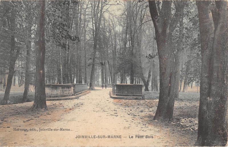 Carte postale ancienne Joinville Sur Marne - Le Petit Bois à Joinville