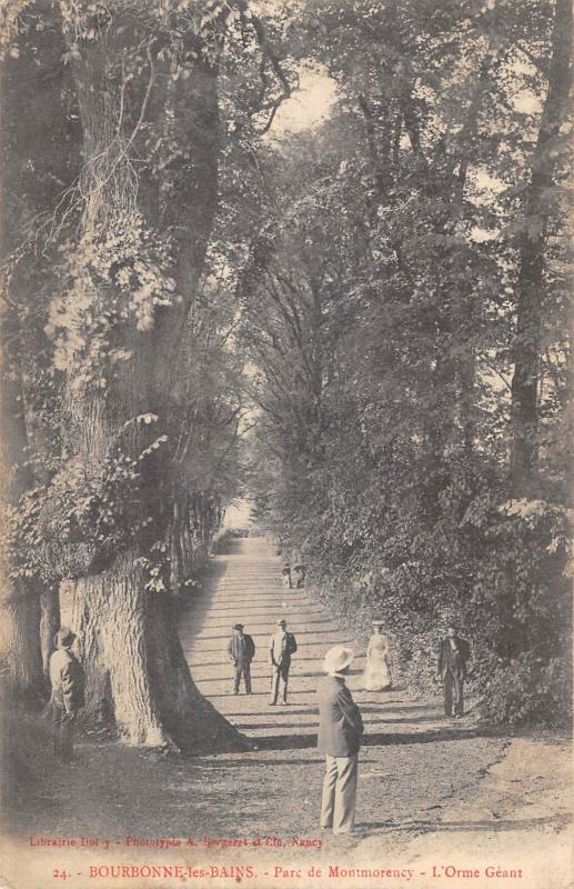 Carte postale ancienne Bourbonne Les Bains - Parc De Montmorency - L'Orme Geant à Bourbonne-les-Bains