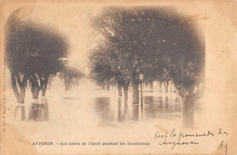 Carte postale ancienne Avignon - Les Allees De L'Oulle Pendant Les Inondations à Avignon