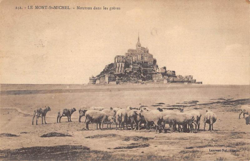 Carte postale ancienne Le Mont Saint Michel - Moutons Dans Les Greves au Mont-Saint-Michel