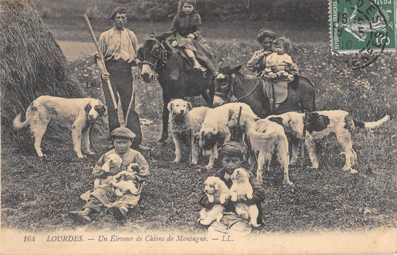 Carte postale ancienne Lourdes - Un Eleveur De Chiens De Montagne à Lourdes