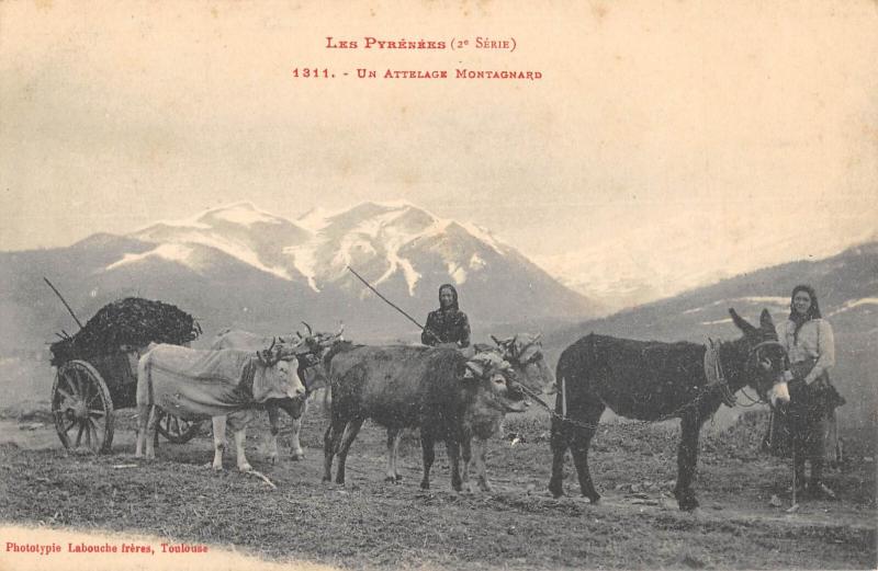 Carte postale ancienne Les Pyrennees - Un Attelage Montagnard