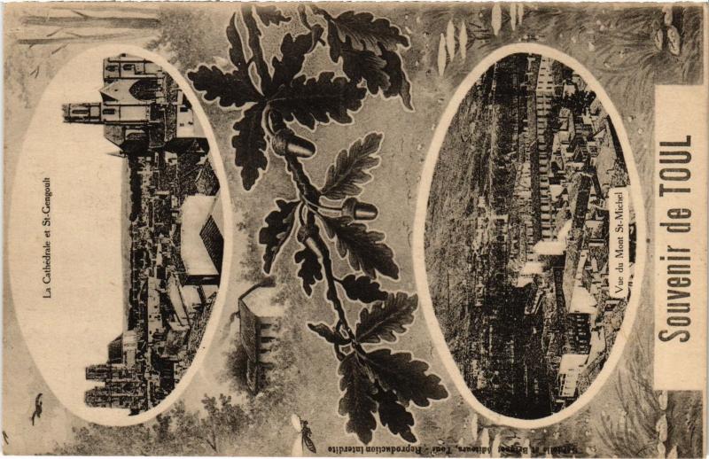 Carte postale ancienne Toul souvenir