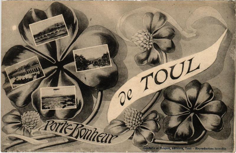 Carte postale ancienne Toul souvenir