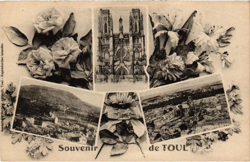 Carte postale ancienne Toul souvenir