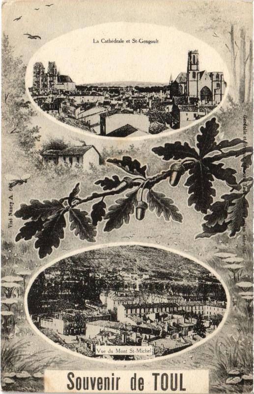 Carte postale ancienne Toul souvenir