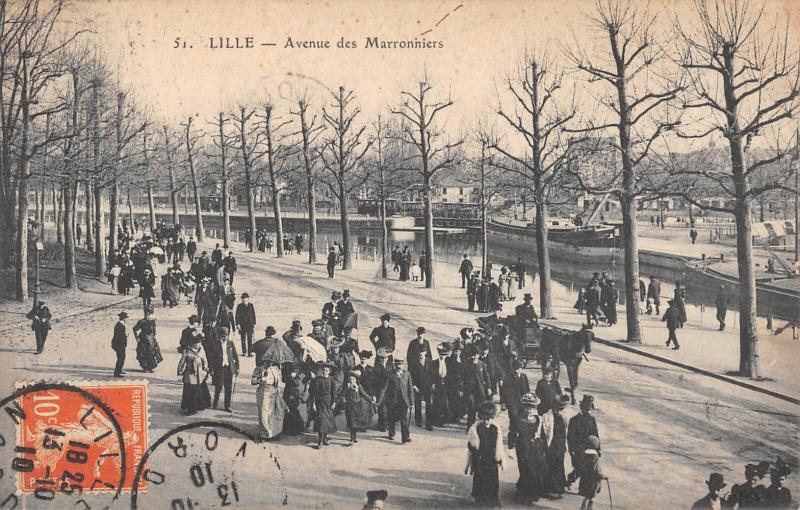Carte postale ancienne Lille - Avenue Des Marronniers à Lille