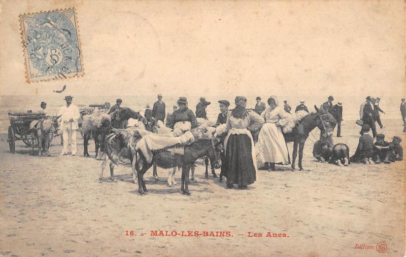 Carte postale ancienne Malo Les Bains - Les Anes