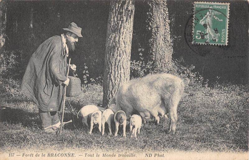 Carte postale ancienne Foret De La Braconne - Tout Le Monde Travaille
