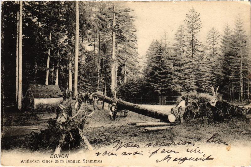 Carte postale ancienne Donon
