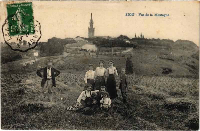 Carte postale ancienne Sion vue de la Montagne