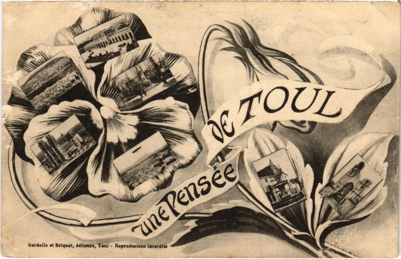 Carte postale ancienne Toul souvenir