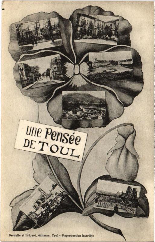 Carte postale ancienne Toul souvenir