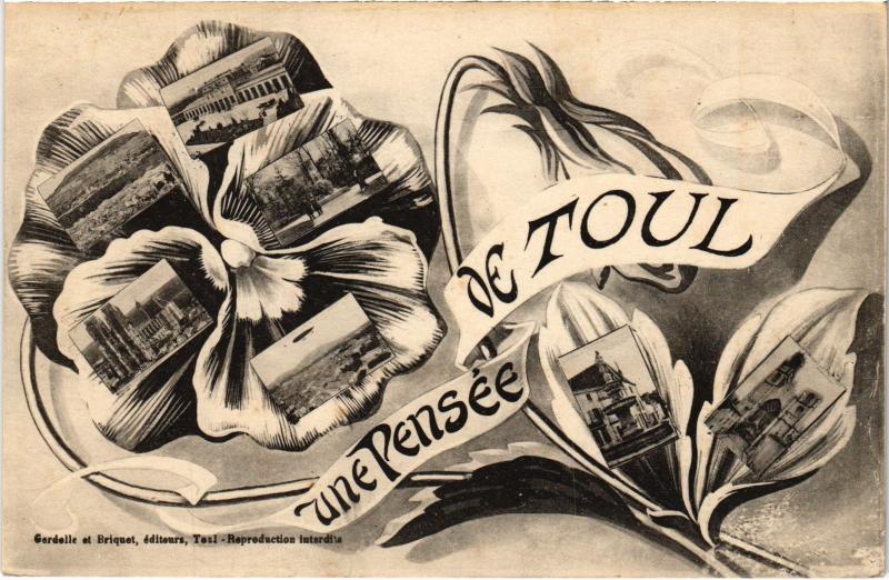 Carte postale ancienne Toul souvenir