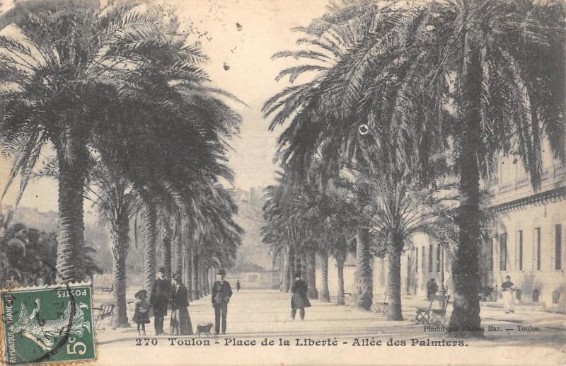 Carte postale ancienne Toulon - Place De La Liberte - Allee Des Palmiers à Toulon