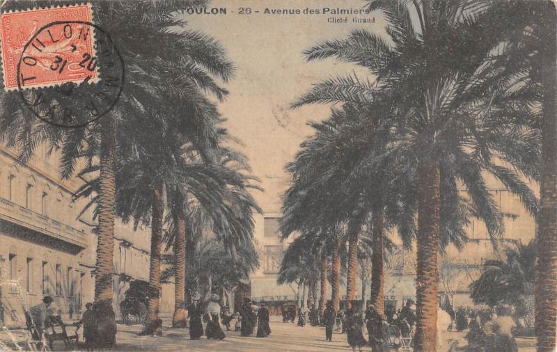 Carte postale ancienne Toulon - Avenue Des Palmiers à Toulon