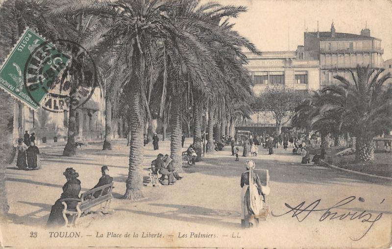 Carte postale ancienne Toulon - Place De La Liberte - Les Palmiers à Toulon