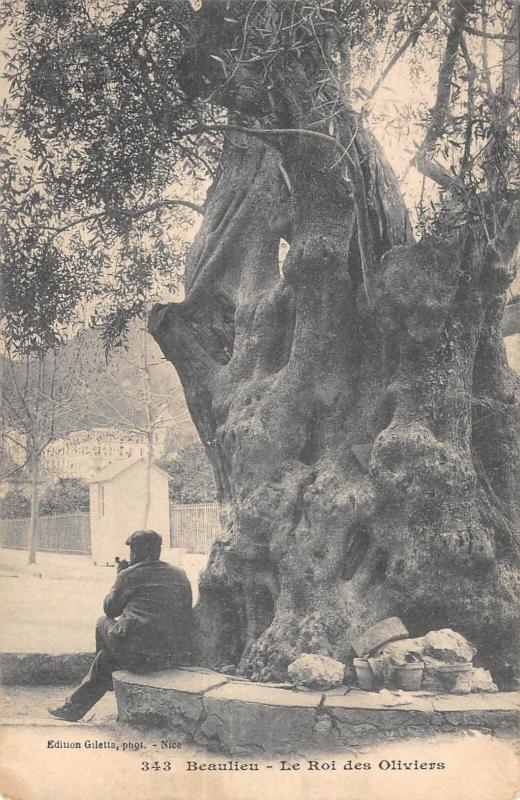 Carte postale ancienne Beaulieu - Le Roi Des Oliviers