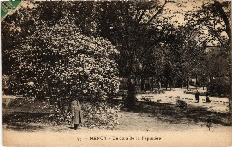 Carte postale ancienne Nancy un coin de la Pepiniere à Nancy