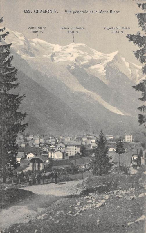 Carte postale ancienne Chamonix - Vue Generale Et Le Mont Blanc