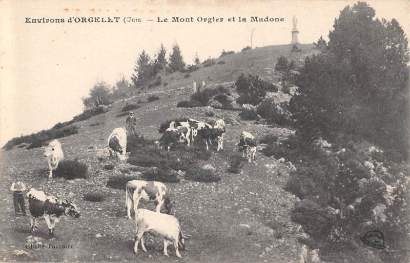 Carte postale ancienne Environs D'Orgelet - Le Mont Orgier Et La Madone à Orgelet