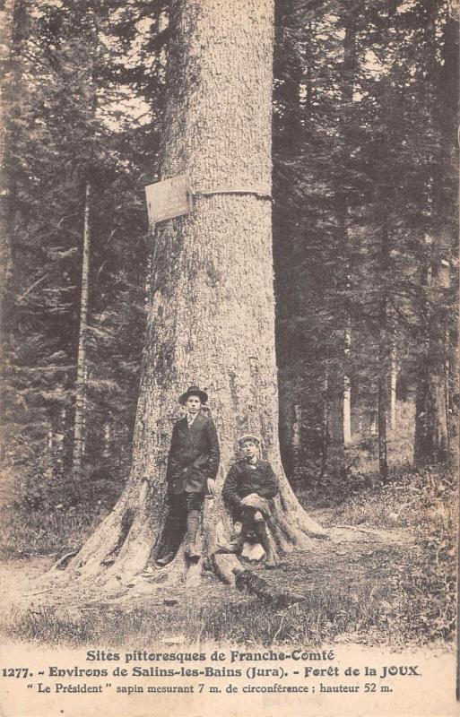 Carte postale ancienne Environs De Salins Les Bains - Foret De La Joux - Le President à Salins-les-Bains