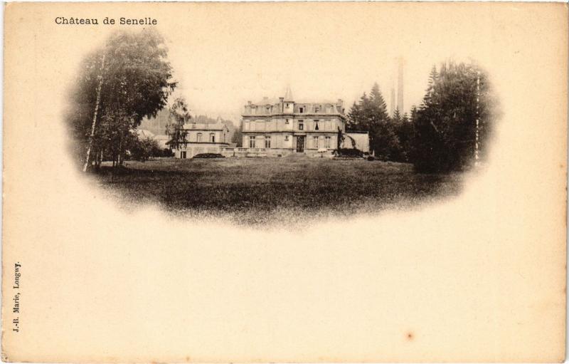 Carte postale ancienne Chateau de Senelle