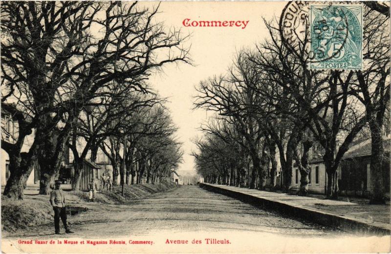 Carte postale ancienne Commercy Avenue des Tilleuls