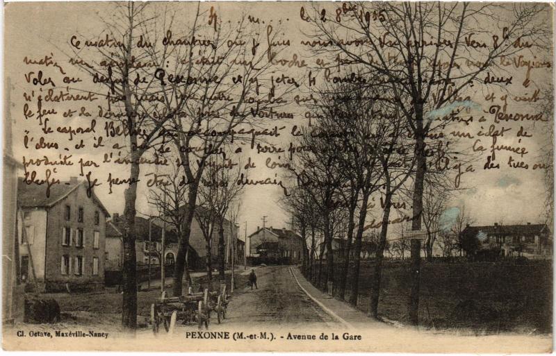Carte postale ancienne Pexonne Avenue de la Gare à Pexonne