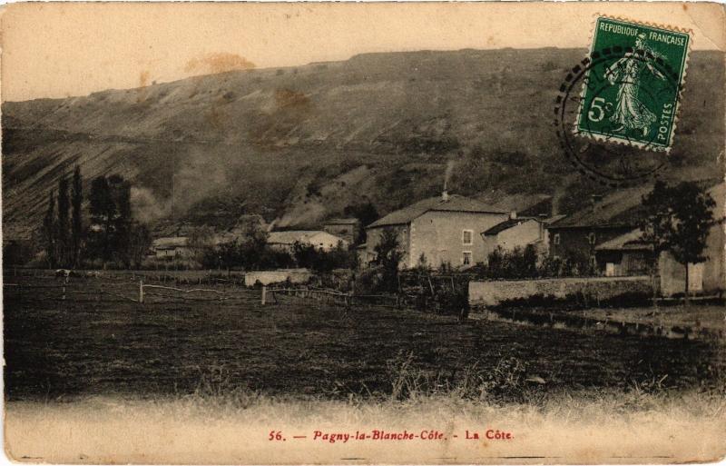 Carte postale ancienne Plagny la cote