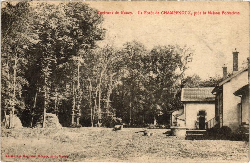 Carte postale ancienne Champenoux Maison Forestiere à Champenoux