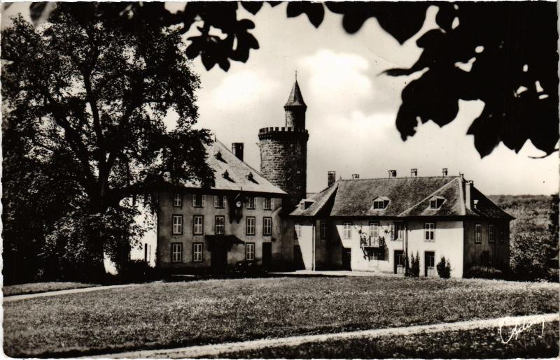 Carte postale ancienne Cirey Chateau de Chatillon