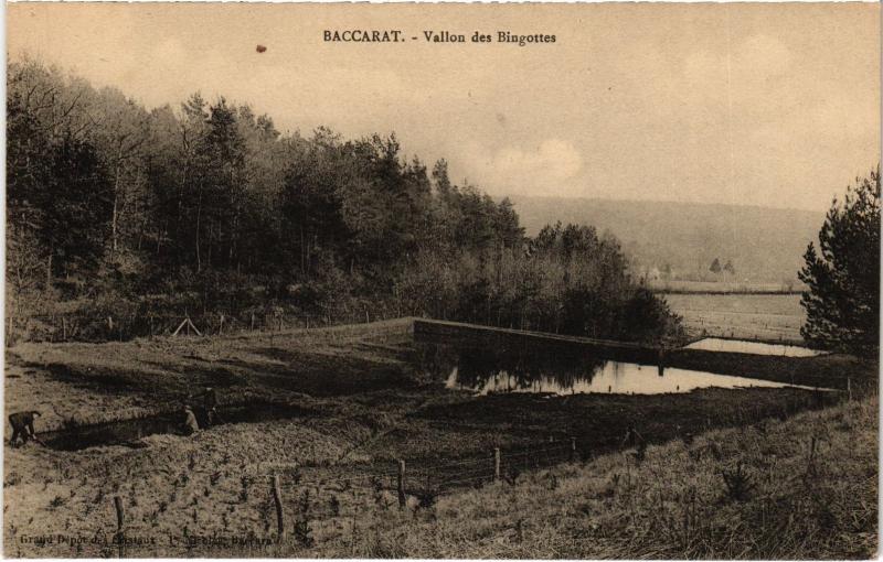 Carte postale ancienne Baccarat Vallon des Bingottes à Baccarat