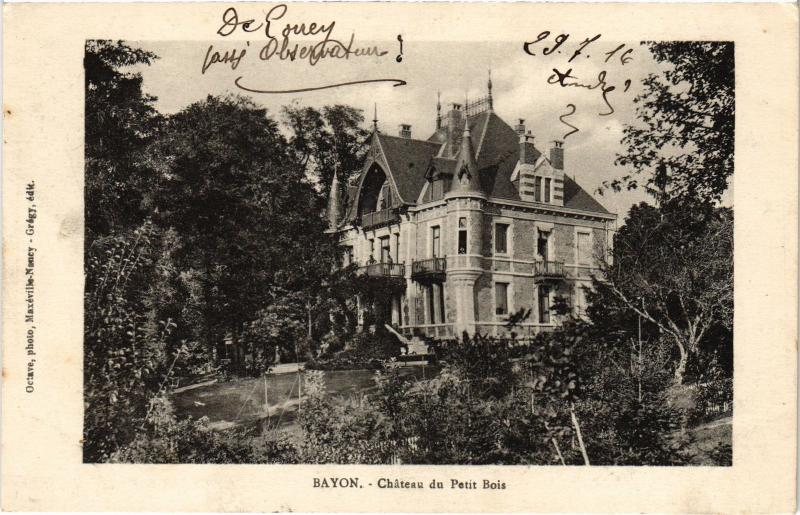 Carte postale ancienne Bayon Chateau du Petit Bois à Bayon