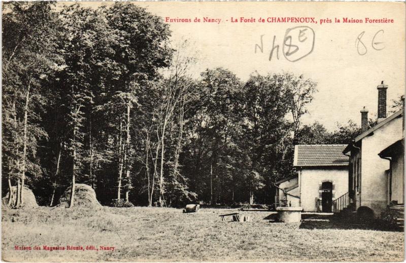 Carte postale ancienne Champenoux la foret à Champenoux