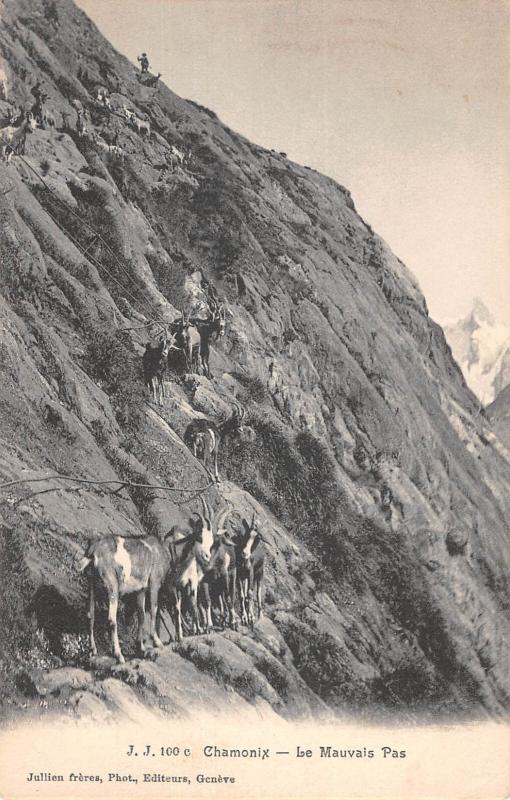 Carte postale ancienne Chamonix - Le Mauvais Pas