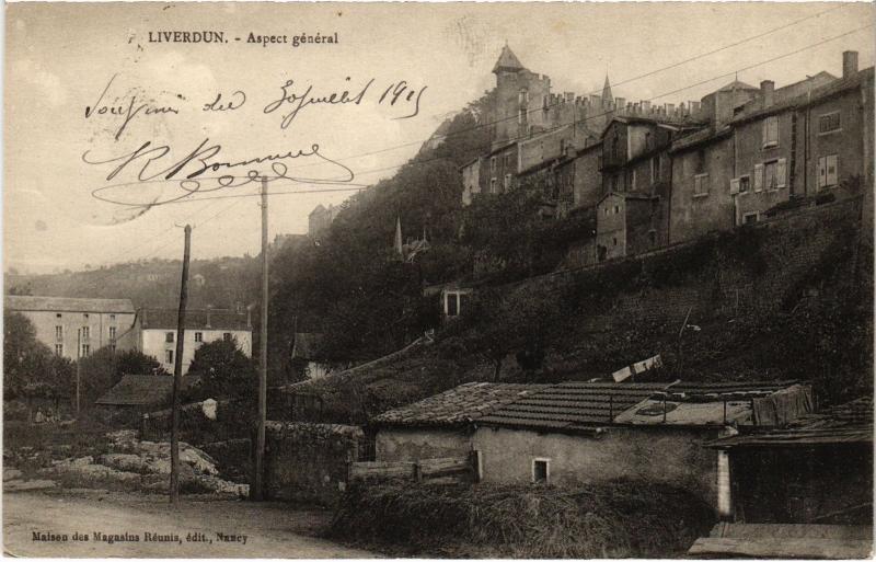 Carte postale ancienne Liverdun aspect general à Liverdun