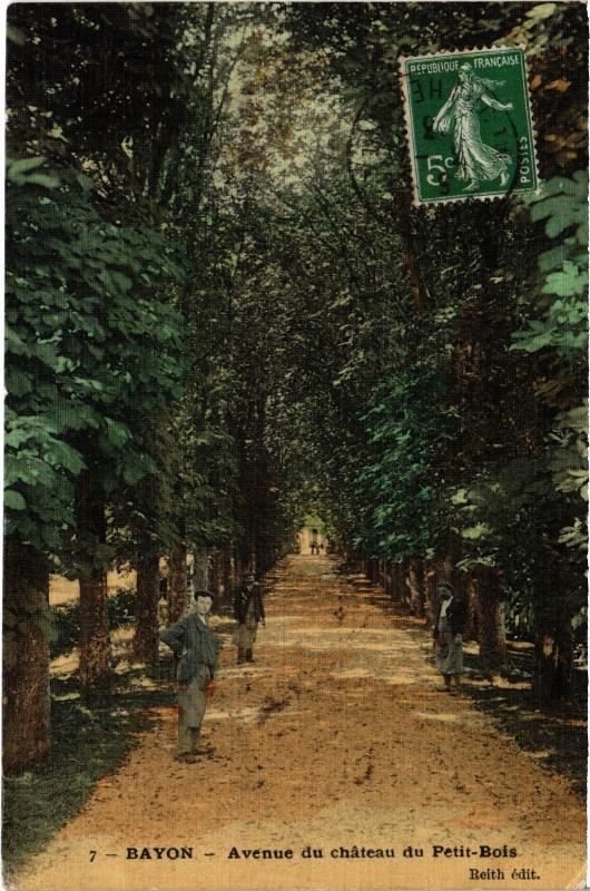 Carte postale ancienne Bayon Avenue du chateau du Petit Bois à Bayon