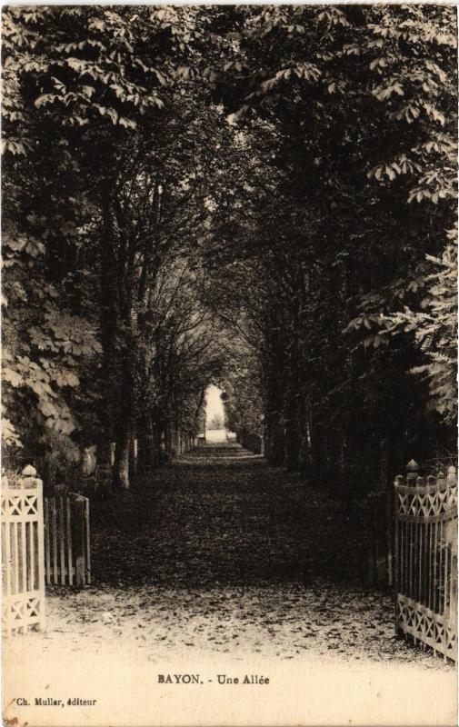Carte postale ancienne Bayon une allee