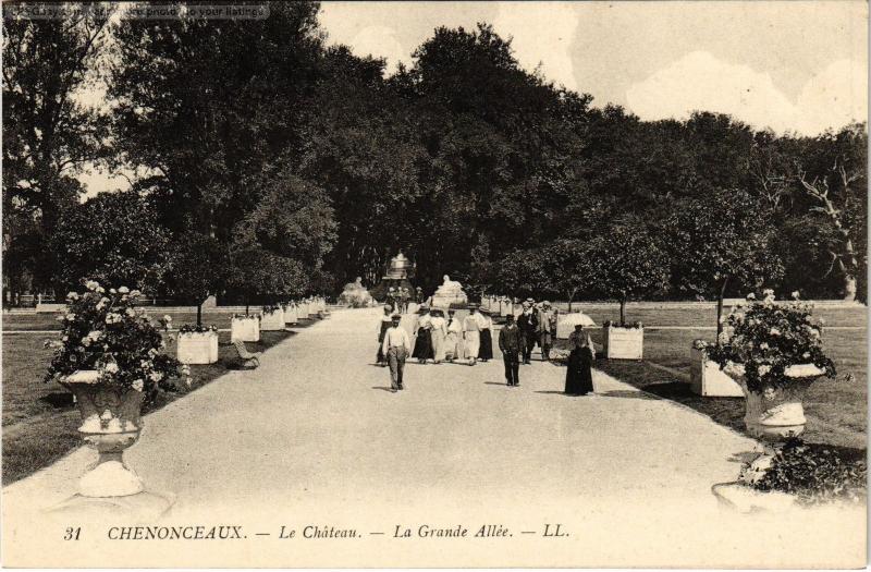 Carte postale ancienne Chenonceaux le chateau Grande Allee à Chenonceaux