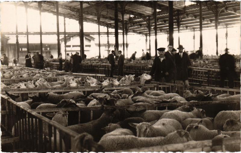 Carte postale ancienne Le Marché de la Villette - Le hall aux moutons à Paris 19e