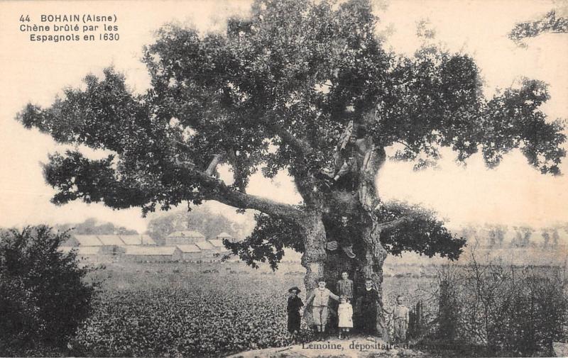 Carte postale ancienne Bohain - Chene Brule Par Les Espagnols En 1630