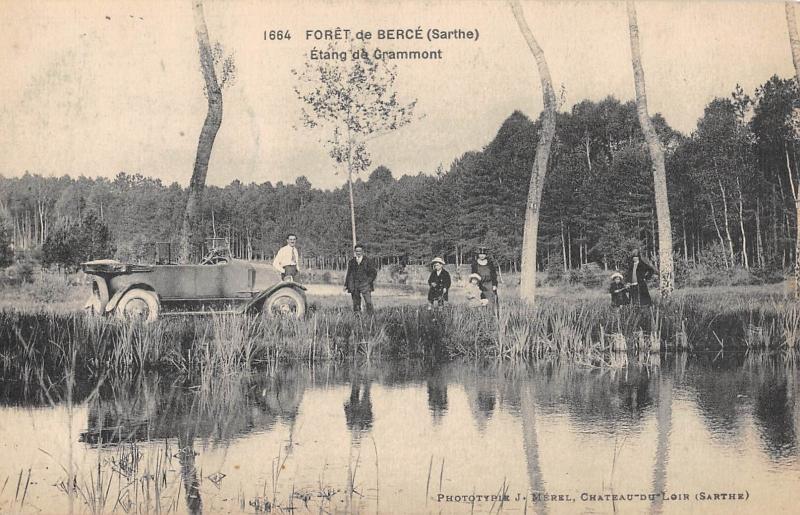 Carte postale ancienne Saint Mars D'Outille - Foret De Berce - Etang De Grammont à Saint-Mars-d'Outillé