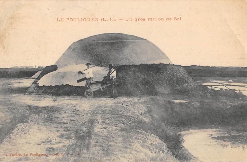 Carte postale ancienne Le Pouliguen - Un Gros Mulon De Sel au Pouliguen