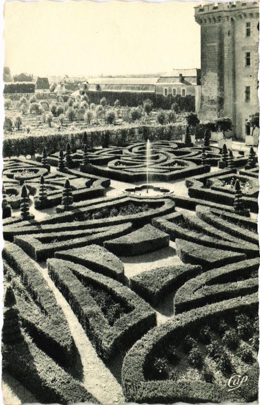 Carte postale ancienne Villandry Jardin d'Ornement Detail des Parterres à Villandry