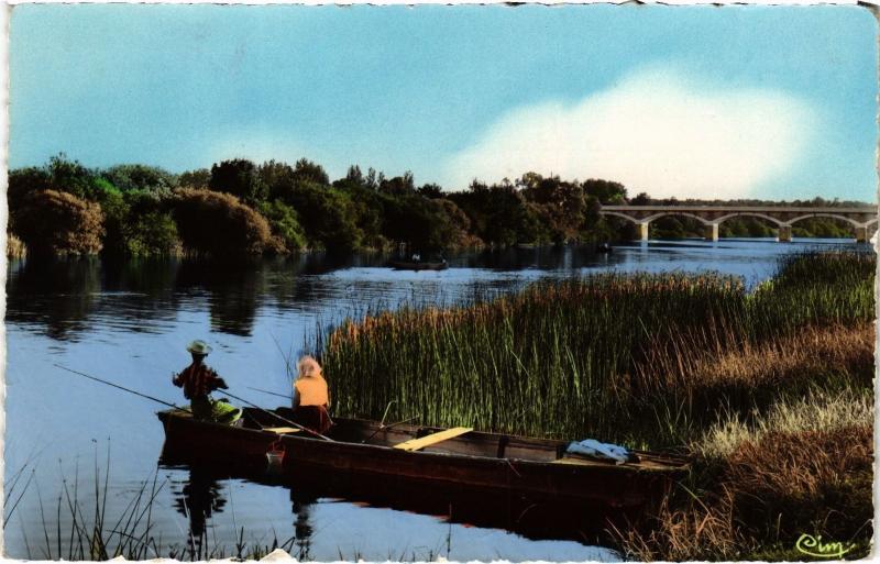 Carte postale ancienne Chisseaux bords du Cher à Chisseaux