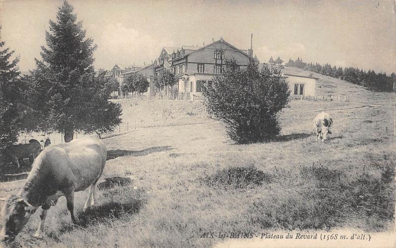 Carte postale ancienne Aix Les Bains - Plateau Du Revard - Vaches à Aix-les-Bains